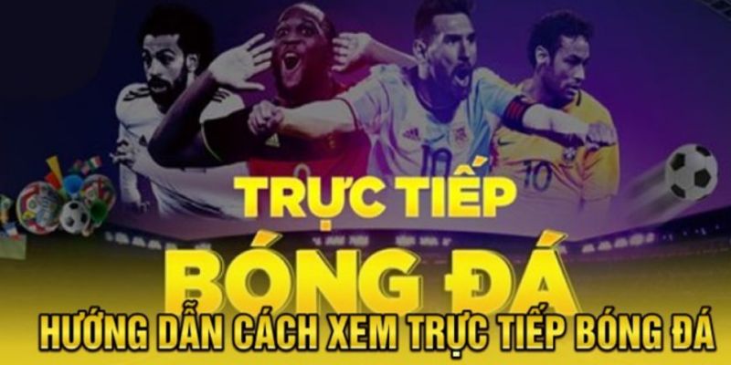 Khám phá một vài thắc mắc của anh em về Soi Kèo Banh