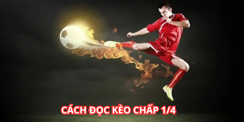 Đọc kèo chấp 1/4 dễ hiểu cho cả hai cửa trên và dưới